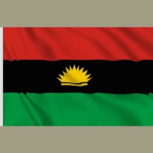 Biafran Vibes