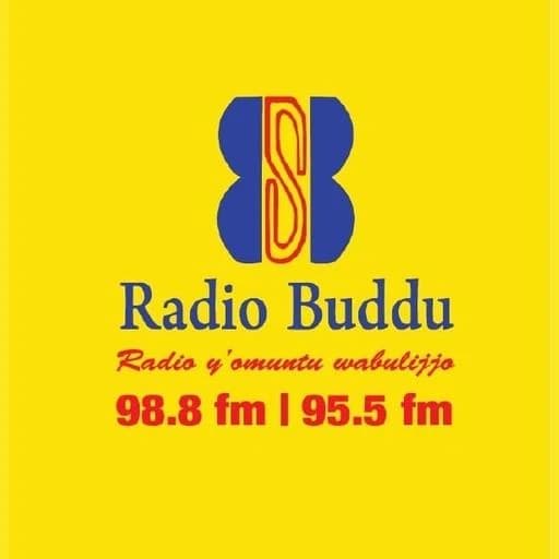 Buddu