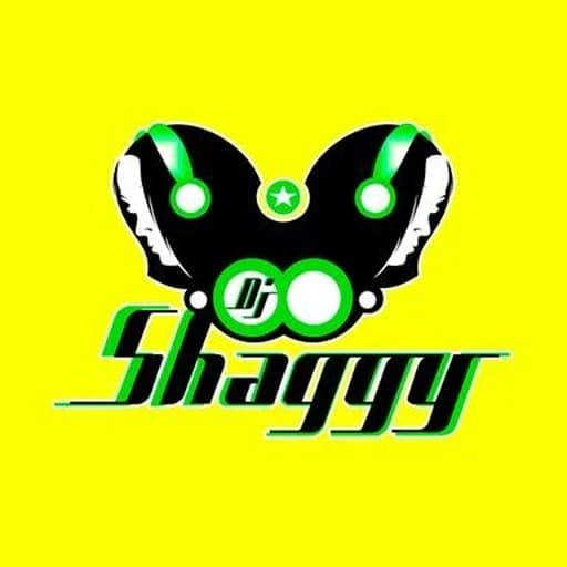 Dj Shaggy