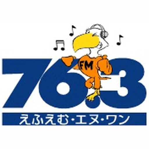 FM N1
