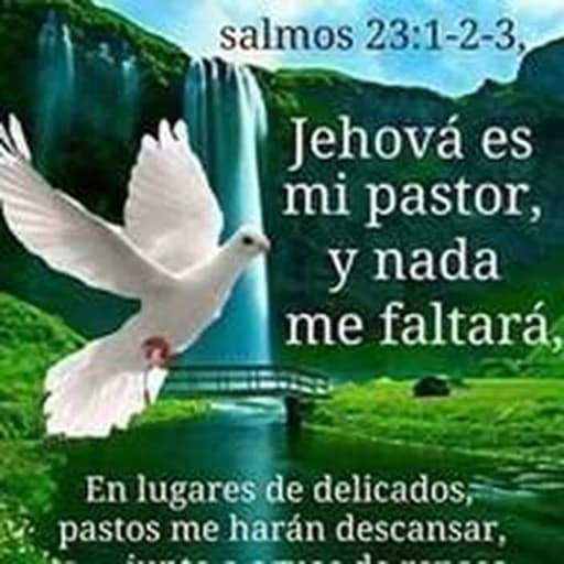 Estéreo Unción de lo Alto