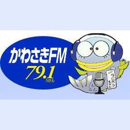 Kawasaki FM