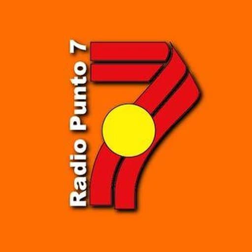 Punto 7